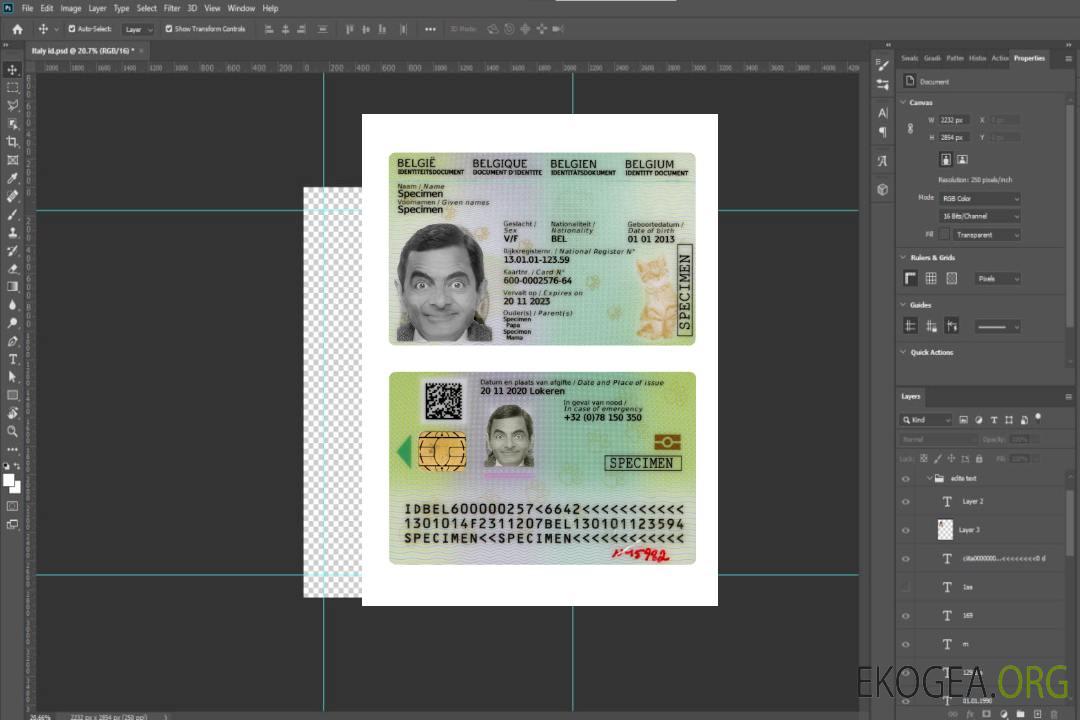 Carte d'identité belge pour enfants 2020-présent template Carte d'identité belge pour enfants 2020-présent template